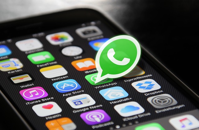 WhatsApp lança recursos premium para atrair empresas