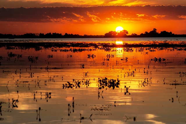 Conhecendo o Pantanal: o que saber antes de ir