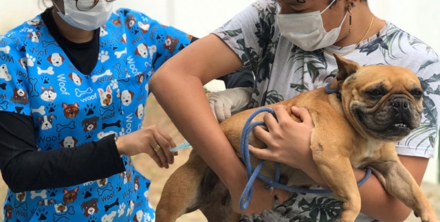 Centro de Zoonoses alerta para riscos da raiva em humanos e animais; vacinação em cães e gatos inicia dia 8 de agosto