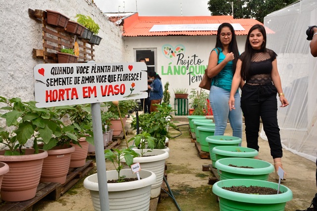 Projeto doa hortaliças de quintal produtivo a escolas e instituições de caridade