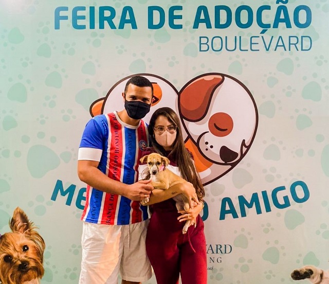 Boulevard Shopping promove Campanha de Adoção de Pets 