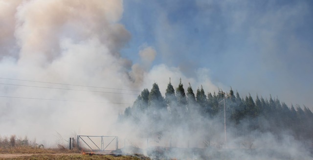 incêndio em vegetação em Luis Eduardo Magalhãe 6