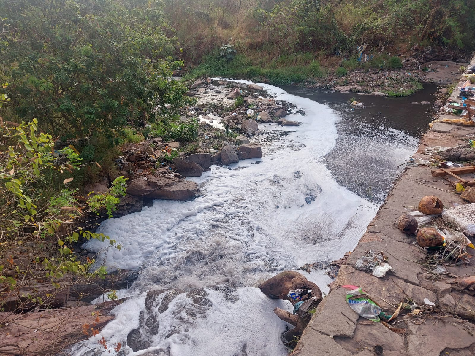 Fórum Permanente elabora ações para despoluir o Rio Jacuípe e riachos que cortam Feira de Santana