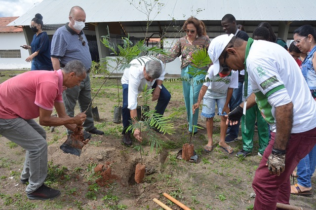 Estudantes plantam árvores em comemoração ao aniversário da cidade