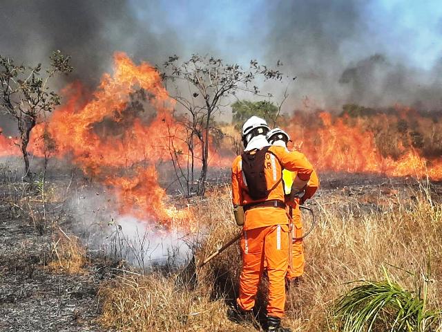 Incêndios florestais na Bahia