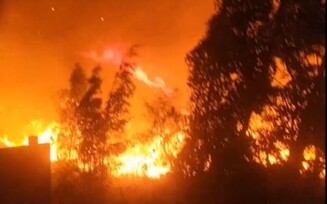 Incêndio de grandes proporções atinge zona rural de Guanambi