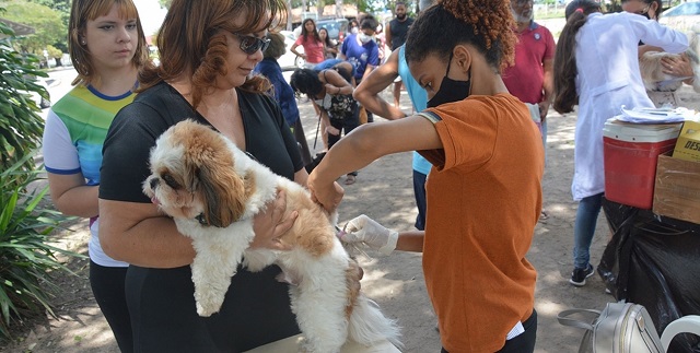 vacinação gratuita antirrábica de cães em Feira de Santana. 