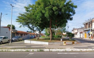 Moradores da Praça da Paquera pedem limpeza e manutenção das árvores do local