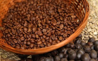 Café: Bahia ganha 1º e 2º lugares no principal concurso de qualidade do produto no mundo