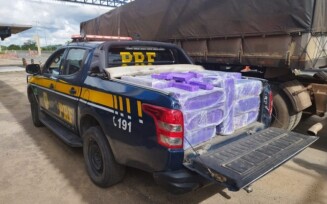 PRF apreende 680 kg de maconha sendo transportada em caminhão na BR 116 em Feira de Santana