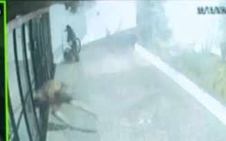 Homem invade prédio para estuprar mulher e morre após se ferir em porta de vidro na Bahia