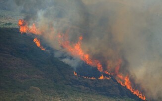 Período de estiagem aumenta riscos de queimadas em vegetação, diz major do Corpo de Bombeiros