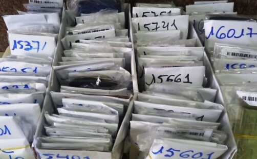 CPR-L divulga nomes de pessoas que perderam documentos na Micareta de Feira 2024; saiba como recuperar