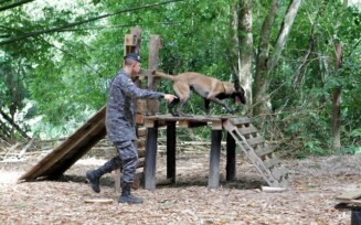 Companhia da Polícia Militar prepara cães para salvar e proteger vidas na Bahia