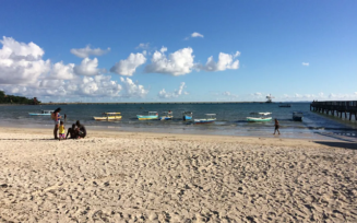 Marinha investiga peixes e crustáceos que apareceram mortos em praia do subúrbio de Salvador