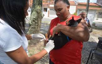 Campanha contra a raiva registra cerca de 6 mil animais vacinados em um único dia em Feira de Santana
