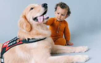 Conheça o ‘Mochi’, o cão terapeuta que tem revolucionado o atendimento a crianças com autismo em Feira de Santana