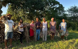 Famílias da zona rural de Conceição da Feira celebram avanços na mandiocultura