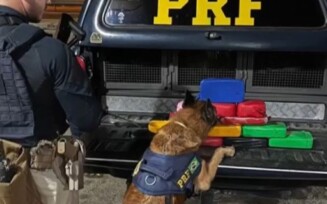 Operação Cão de Faro VI: PRF apreende mais de 15 Kg de cocaína em Feira de Santana