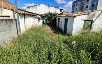 Moradores denunciam terrenos abandonados que podem ter foco do mosquito da dengue