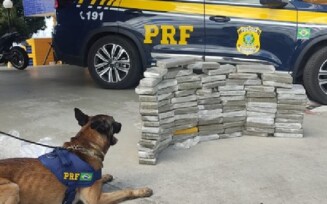 89 kg de maconha são encontrados por cão farejador da PRF em Vitória da Conquista