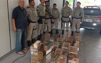 Polícia Militar apreende 135 aves silvestres em Feira de Santana