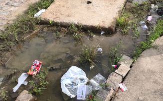 Mato, lixo e vazamento de esgoto: as reclamações da população feirense continuam