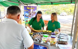 Uefs realiza I Simpósio de Meliponicultura do Bioma Caatinga