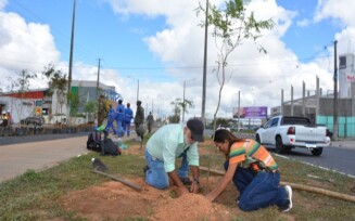 Plantio de mais 70 árvores na avenida Noide Cerqueira marca dia comemorativo