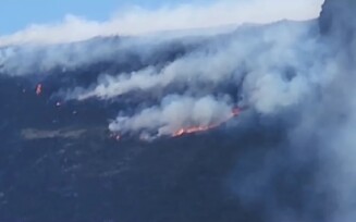 Incêndio florestais na Bahia ft reprodução tv Bahia-Mauro anchieta