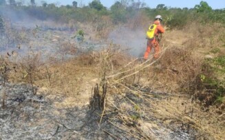 incêndios florestais que atingem o interior da Bahia, nas regiões Oeste, Norte e Chapada Diamantina.