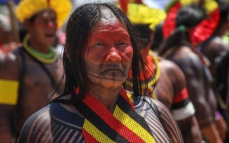 Povos indígenas brasileiros