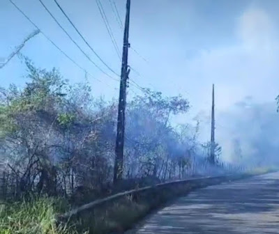 Incêndio se alastra em mata e deixa cidades do Recôncavo sem internet