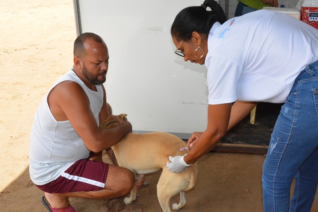 vacinação de animais - vacina - antirrabica ft Thiago Paixão1
