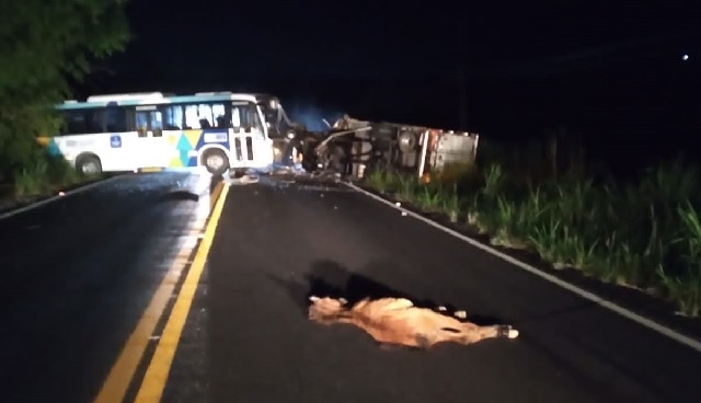 Motorista de ônibus morre em acidente na BA-522