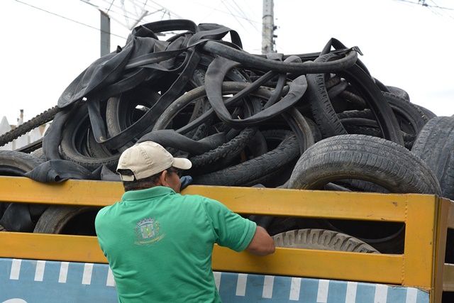 Mais de 155 mil carcaças de pneus foram recolhidas neste ano