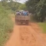 Estudantes são transportados em carroceria de caminhonete na cidade de Riacho de Santana