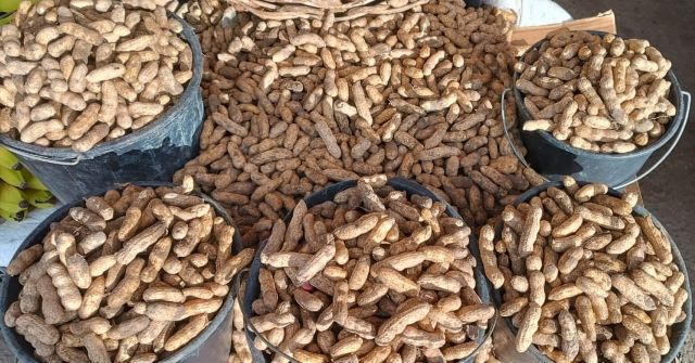 Comida típica do São João: vendas de amendoim começam a aquecer no Centro de Abastecimento