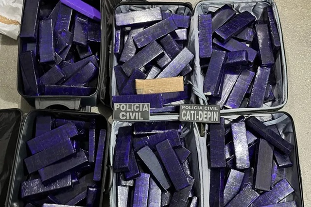 Polícia Civil apreende 100kg de maconha