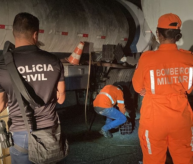 Polícia Civil recupera combustíveis avaliados em R$ 3,3 milhões na RMS