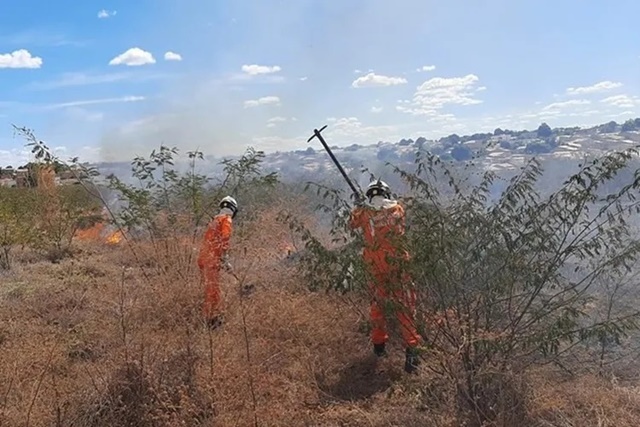 Corpo de Bombeiros combate incêndio em área de vegetação em Bom Jesus da Lapa