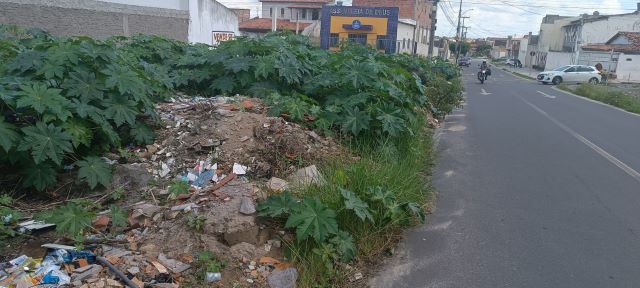 Terreno baldio na rua Colatina, bairro Queimadinha
