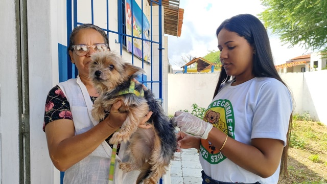 Prefeitura de Feira de Santana segue com campanha antirrábica neste sábado (20); mais de 5 mil animais já foram vacinados